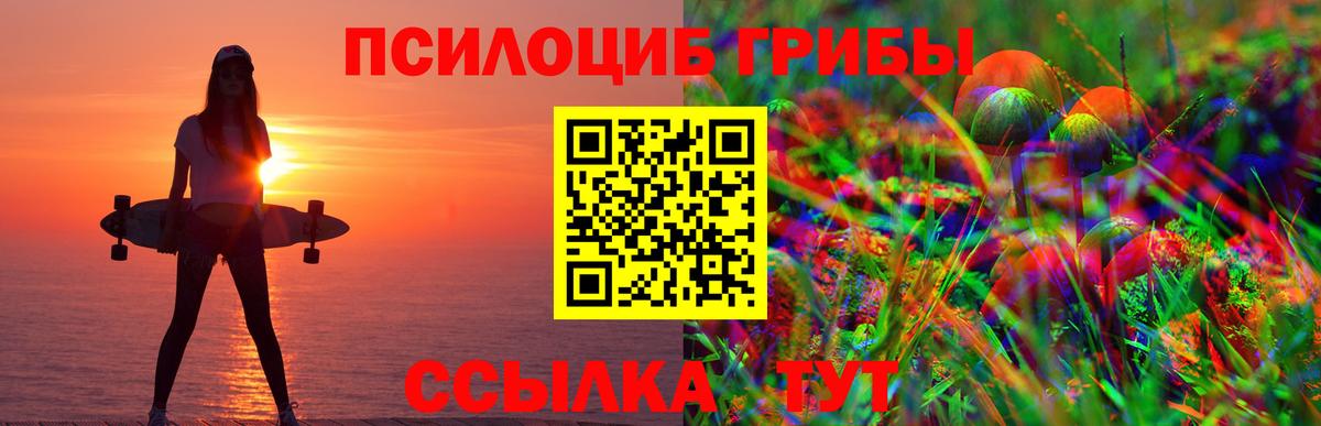 Псилоцибиновые грибы GOLDEN TEACHER Усинск